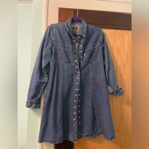 levi strauss co denim silver tab dress